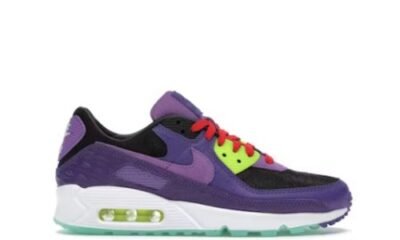 Nike Air Max 90 Violet Blend