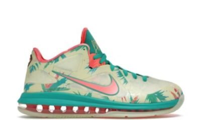 Nike LeBron 9 Low LeBronald Palmer (2022)