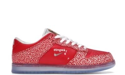 Nike SB Dunk Low Stingwater Magic Mushroom