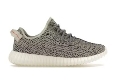 Adidas Yeezy Boost 350 Turtledove (2022)