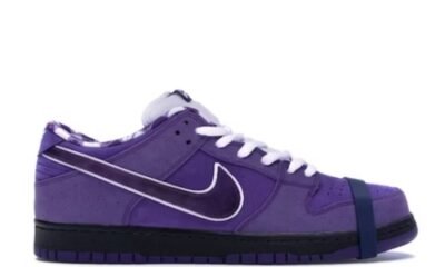 Nike SB Dunk Low Concepts Purple Lobster